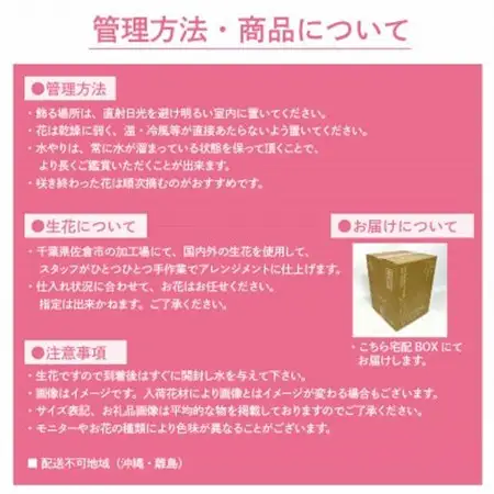 生花お任せアレンジメントM ピンク系 お祝いやお誕生日におすすめ【配送不可地域：離島・沖縄県】【1636488】