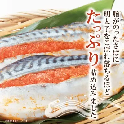 Y08-16 さば明太 9尾 