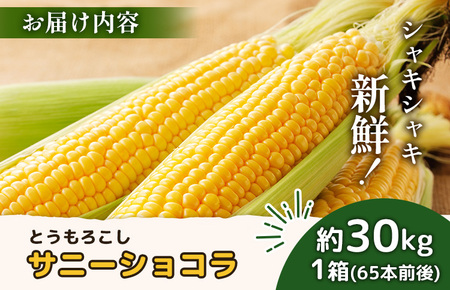 【2026年度発送分】上原農場直送 有機栽培とうもろこし (サニーショコラ) 約30kg 約65本前後【6602101】