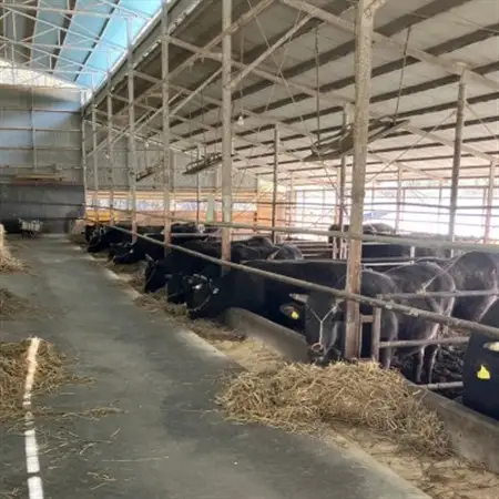 【小町の里・幸牛】黒毛和牛ブロック肉　550g【配送不可地域：離島】【1077509】