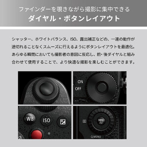 パナソニック デジタルカメラ ルミックス DC-G99M2H カメラ
