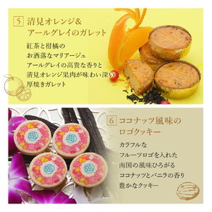 渋谷西村 プレミアムフルーツクッキー [渋谷西村フルーツパーラー道玄坂店] 【036014】お菓子 ｸｯｷｰ ﾌﾙｰﾂ 果物 ﾄﾞﾗｲﾌﾙｰﾂ ｵﾘｼﾞﾅﾙｸｯｷｰ 化粧箱 ｽﾄﾛﾍﾞﾘｰ ﾏﾝｺﾞｰ 瀬戸内ﾚﾓﾝ ﾁｰｽﾞ 米粉 白桃 ﾌﾞﾙｰﾍﾞﾘｰ ﾁｮｺﾚｰﾄ 清見ｵﾚﾝｼﾞ ｱｰﾙｸﾞﾚｲ ｺｺﾅｯﾂ