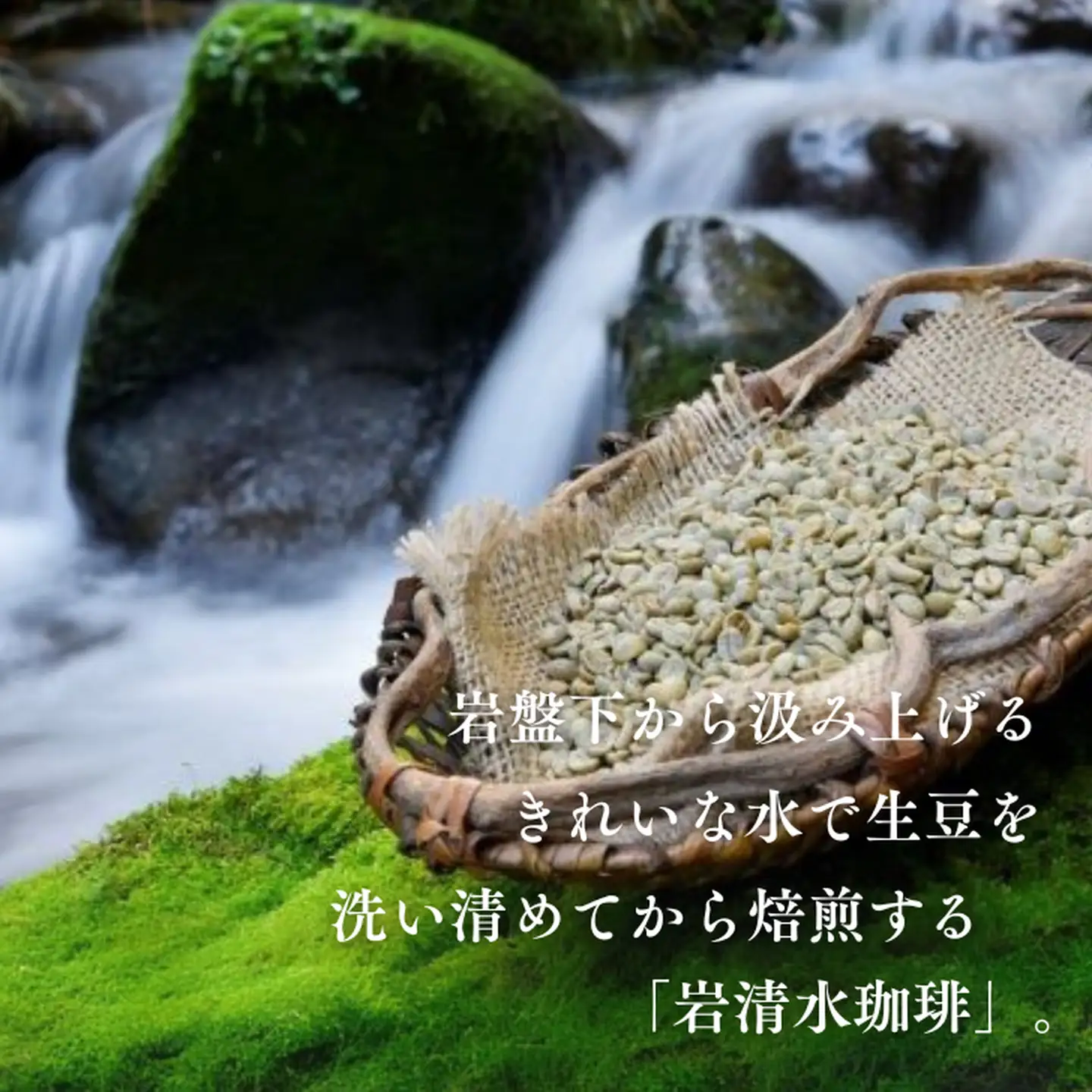 高級ドリップバッグ珈琲「香・マイルドブレンド50」 コーヒー ドリップバッグ 50杯分 飲みやすい マイルドブレンド 飲料 珈道庵 佐賀県 佐賀市 三瀬村 ：B280-007