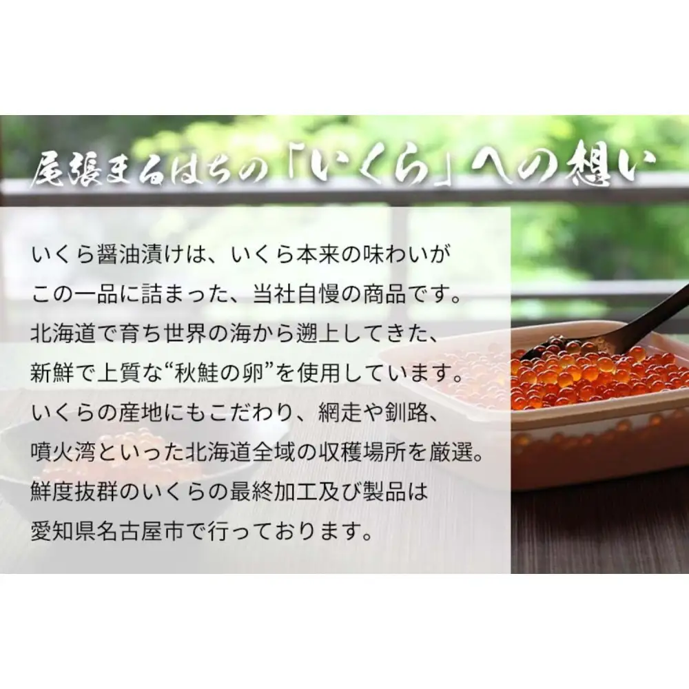 いくら 醤油漬け 500g(250g×2P) 北海道 小分け  鮭の卵 化粧箱入 愛名古屋
