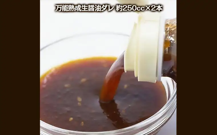 やたら売れてる焼肉屋の山形牛入りハンバーグ1.2kg(120g×10)と万能熟成生醤油ダレ(2本)セット FY25-266