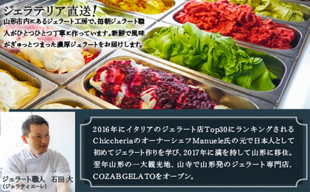 COZAB GELATO 訳あり 大容量 ひとりじめサイズ 2個セット アイスクリーム アイス ジェラート 山形県 山形市 FY25-276
