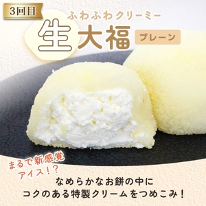 【3ヶ月定期便】亀印製菓 和スイーツ頒布会A【全3回】 ごろごろ豆大福 ゆず香るみかん大福 ふわふわクリーミー生大福プレーン 各6個入(MP-17)
