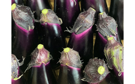 野菜  少量セット 野菜  TR-15