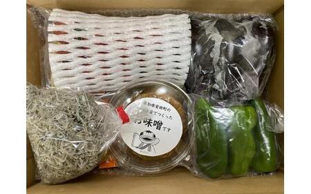安田町のおいしいもの詰め合わせ 生パスタ 野菜 やさい 果物 フルーツ 米 調味料 スイーツ TR-06