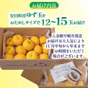 【先行受付】ゆず 万能 ゆず玉 高知県 安田町 |  TR-26