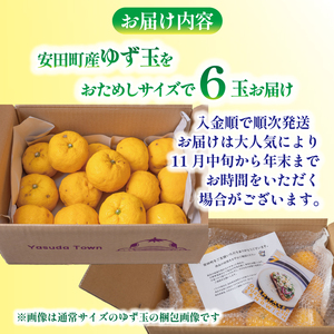 【先行受付】 少量シリーズ ゆず 6個 果汁 果物 風呂 お酒 冬至 高知県 安田町 TR-22