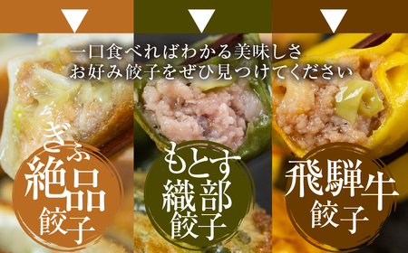 ぎふ夢 餃子 ミックス100個 人気 餃子 3種を詰め合わせ！ [mt1819] 
