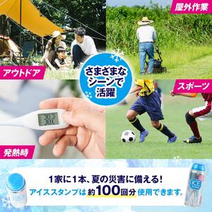 凍氷アイスポン！2本セット
