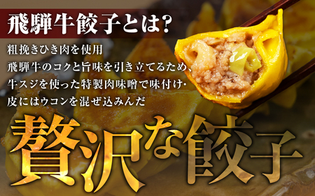 贅沢！飛騨牛 肉巻 餃子 5個 餃子 [mt1826]