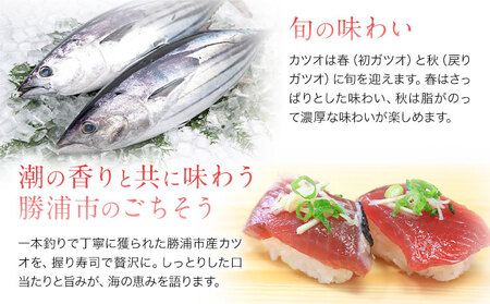 勝浦市産 カツオの握り寿司 8貫（4貫×2パック）《30日以内に出荷予定(土日祝除く)》千葉県 勝浦市 海産物 カツオ 鰹 寿司 すし 魚 海鮮