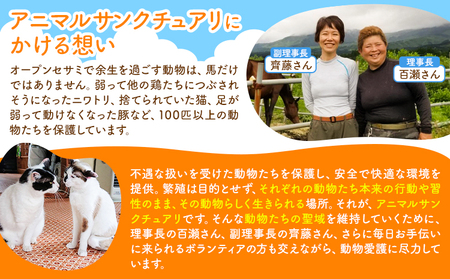 【返礼品なし】引退馬余生支援寄附 10,000円 一般社団法人オープンセサミアライブ 熊本県 南阿蘇村 馬 ウマ 支援 競走馬 引退馬 生活支援 動物愛護 保護 返礼品なし 寄附 牧場 オープンセサミ アニマルサンクチュアリ