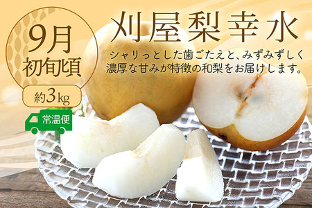 【R8.8月中旬より発送開始】食の都庄内 厳選フルーツ便C（入金期限：2026.7.31）アールスメロン 和梨 シャインマスカット 全3回配送 常温便 冷蔵便