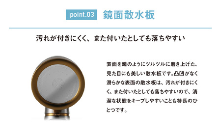 アラミック シルクシャワーシリーズ09 ビタミンシャワー〈シャワー水中に残る塩素をビタミンCで除去〉
