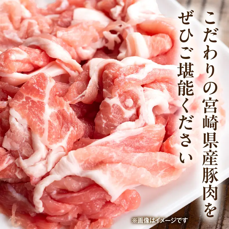 豚肉 こま切れ 豚肉[宮崎県産 2kg 200g×10P]