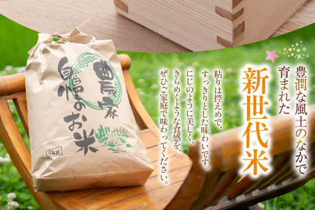 米 令和8年 新米 先行予約 にじのきらめき 5kg [駒井農園 山梨県 韮崎市 20745371]