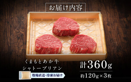 【GI認証】くまもとあか牛シャトーブリアン 約120g×3枚 シャトーブリアン  BHAS014