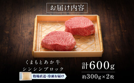 【GI認証】くまもとあか牛シンシンブロック 約300g×2枚 シンシンブロック BHAS015
