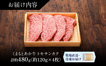 【GI認証】くまもとあか牛トモサンカク 約120g×4枚 トモサンカク  BHAS016