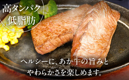 全6回定期便GI認証くまもとあか牛食べ比べB リブロース BHAS027 リブロース