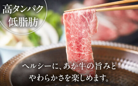 【全3回定期便】【GI認証】くまもとあか牛 食べ比べE あか牛 ステーキ BHAS030