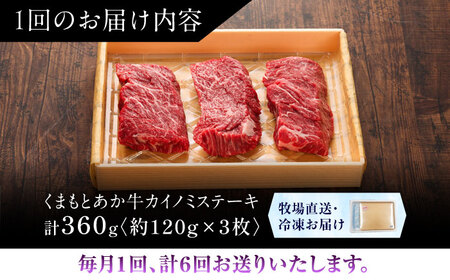 全6回定期便 GI認証 くまもとあか牛カイノミステーキ 約120g×3枚 BHAS061 カイノミステーキ