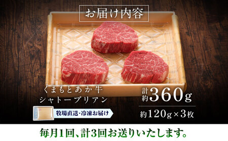 全3回定期便 GI認証くまもとあか牛シャトーブリアン 約120g×3枚BHAS072 シャトーブリアン