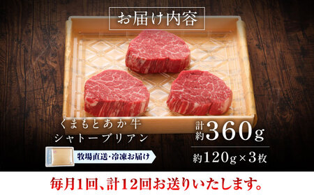 全12回定期便 GI認証 くまもとあか牛シャトーブリアン 約120g×3枚 BHAS074 シャトーブリアン