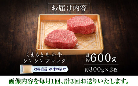 【全3回定期便】【GI認証】くまもとあか牛シンシンブロック 約300g×2枚 シンシンブロック BHAS075