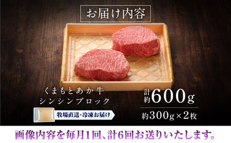 全6回定期便GI認証 くまもとあか牛シンシンブロック 約300g×2枚 BHAS076 シンシンブロック