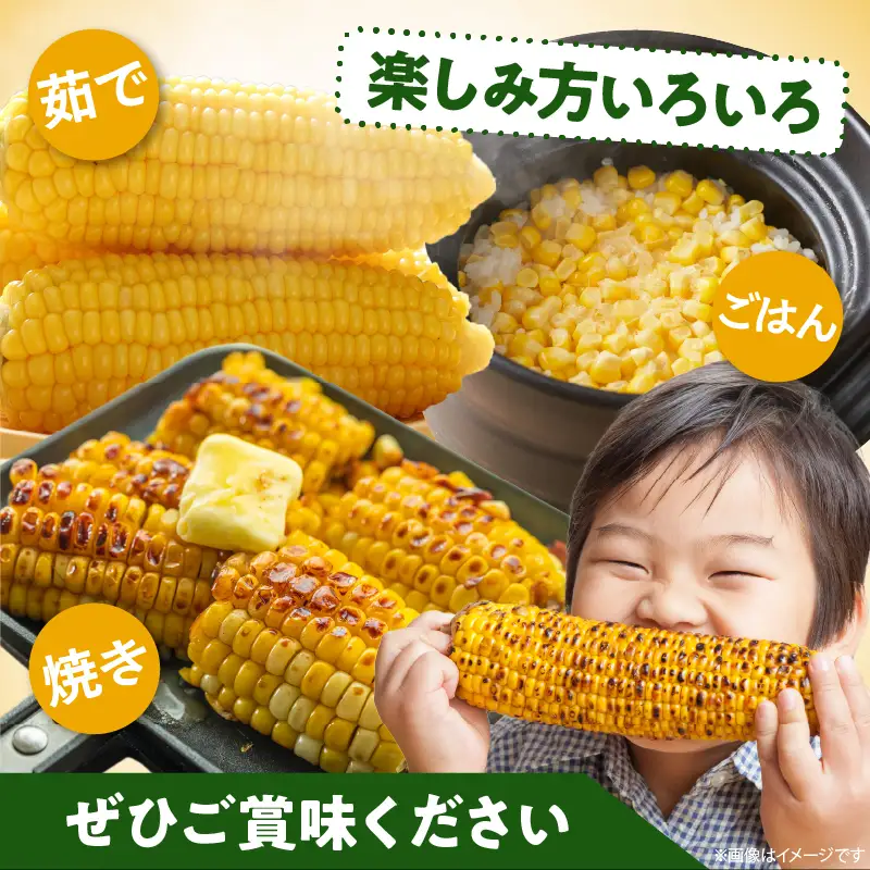 先行予約≪期間限定≫みやざきフレッシュスイートコーン(約9kg) とうもろこし 野菜 旬 おやつ 国産_T015-0055