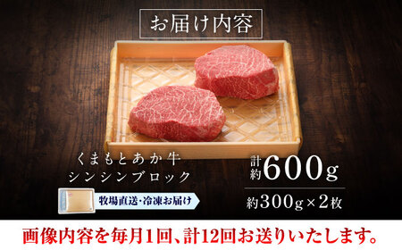 全12回定期便 GI認証 くまもとあか牛シンシンブロック 約300g×2枚 BHAS077 シンシンブロック