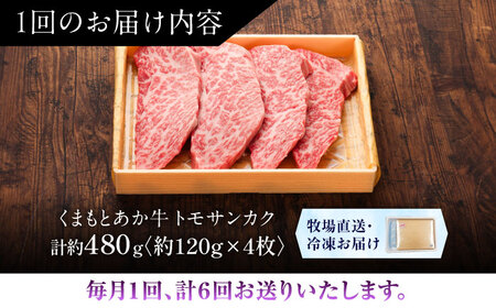 全6回定期便 GI認証 くまもとあか牛トモサンカク 約120g×4枚BHAS079 トモサンカク
