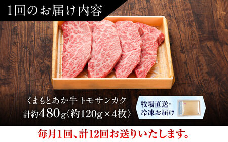 全12回定期便 GI認証 くまもとあか牛トモサンカク 約120g×4枚BHAS080 トモサンカク