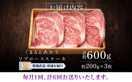 全6回定期便GI認証くまもとあか牛リブロースステーキ 約200g×3枚BHAS088 リブロース