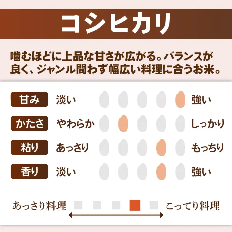米 コシヒカリ 精米 5kg 令和7年産 茨城県産 お米 こめ コメ ごはん 白米 こしひかり 茨城県産米 単一米 単一原料米 安心 安全 送料無料 国産 人気 数量限定 高評価（85-11）