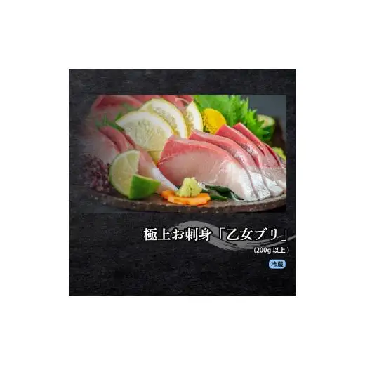【 刺身 】 刺身定期便3回