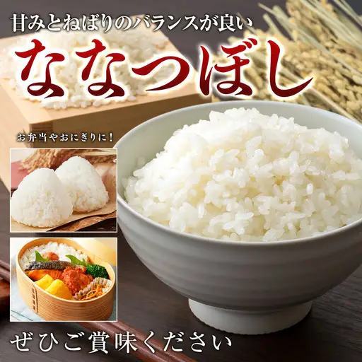 米 令和7年産米 北海道産ななつぼし米 白米 5kg