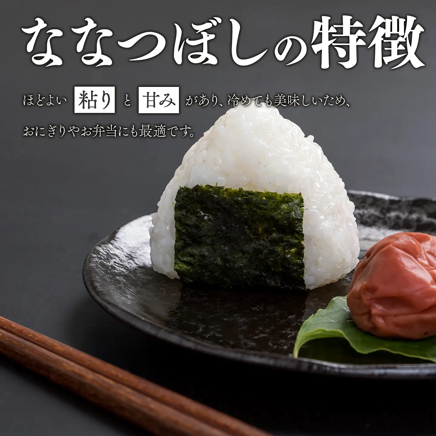 米 令和7年産米 北海道産ななつぼし米 白米 10kg（5kg×2) 