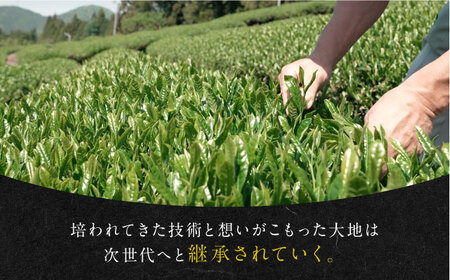 発酵和茶 Trinitea 3点セット 化粧箱入り （一番茶ティーバッグ缶、二番茶ティーバッグ缶、二番茶茶葉缶） 和紅茶 紅茶 ティーバッグ セット ギフト 白川町 / ヨリスグリ[AWBV001]