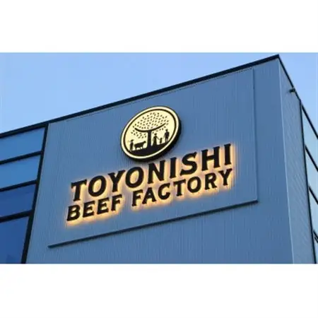 600g 豊西牛切落しスライス【配送不可地域：離島】【1606346】