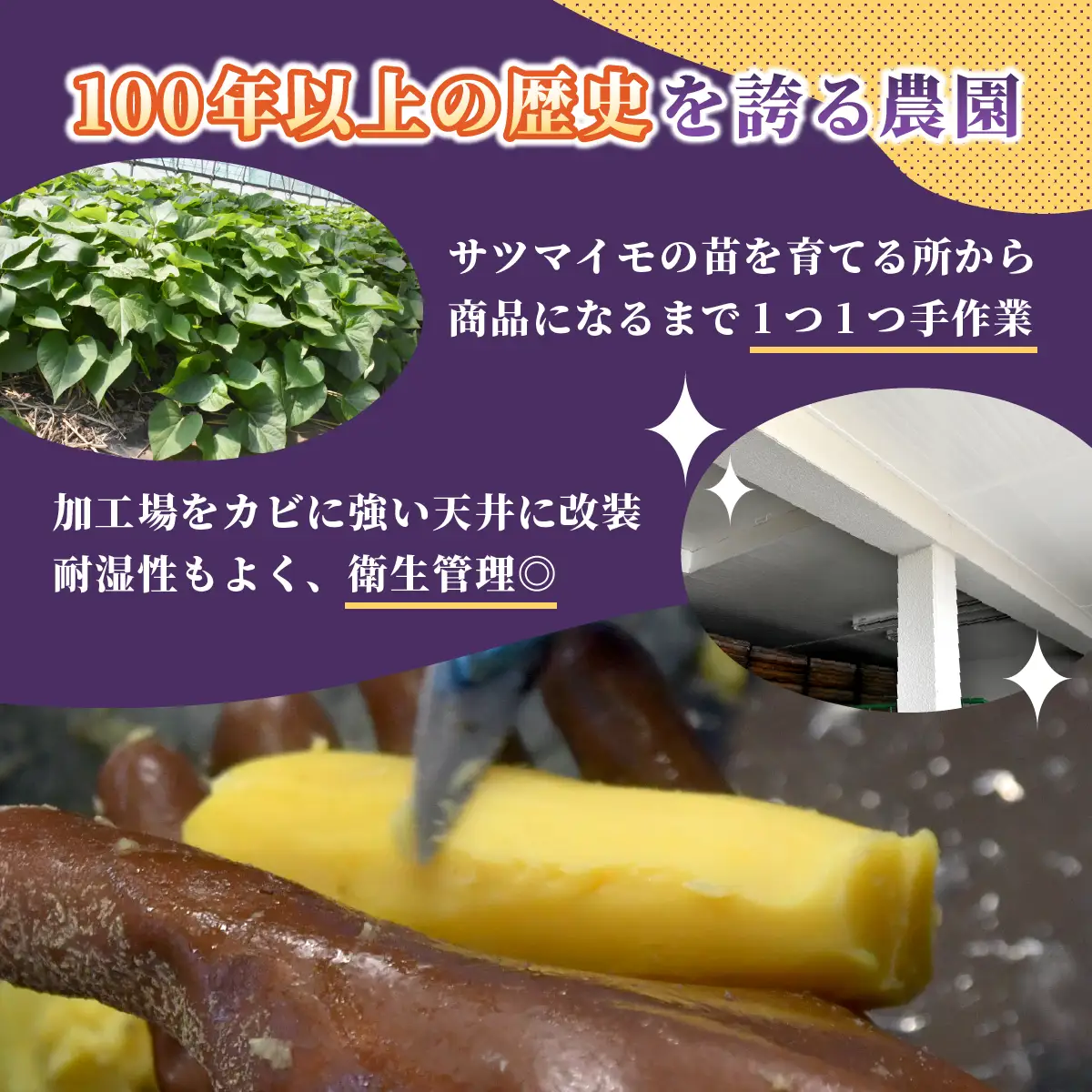 ほしいも品評会受賞　横須賀農園 干し芋(丸干し) 200g×5パック【配送不可地域：離島】【1643142】