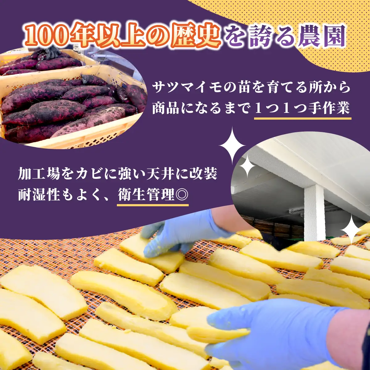 横須賀農園 干し芋(切甲) 200g×5パック・訳あり品【1643771】