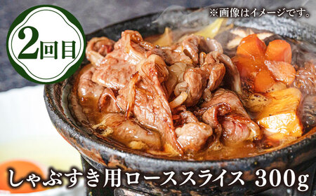 【全3回定期便】壱岐牛定期便（壱岐牛ステーキ、しゃぶすきセット）2人前《壱岐市》【壱岐市農業協同組合】壱岐牛 すき焼き ステーキ しゃぶしゃぶ 肉セット[JBO163]