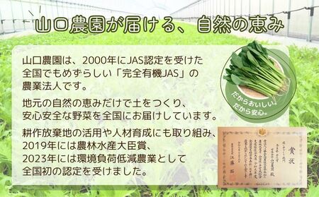 有機農業 圃場見学 ツアー お土産付 5名様迄／ 農業 農家 有機野菜 オーガニック 無農薬 SDGs 関西 体験 チケット カレー 山口農園 奈良県 宇陀市 ふるさと納税