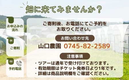 有機農業 を知って五感で感じる SDGs テーブル スタイル 茶道体験 20名様迄／ Nara Green 抹菜 オーガニック ビレッジ 薬草 茶の本 農家 有機野菜 無農薬 関西 チケット 山口農園 奈良県 宇陀市 ふるさと納税